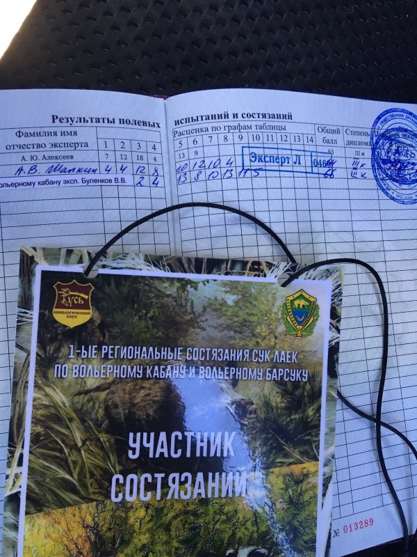 успеваем везде...секач был Офигенный