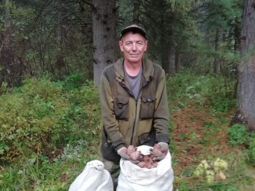 Всё что успел до дождика.
