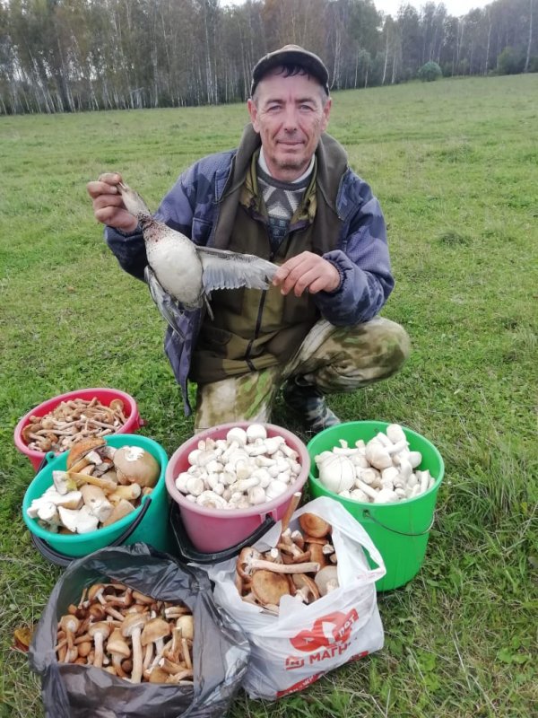 Всего понемногу!