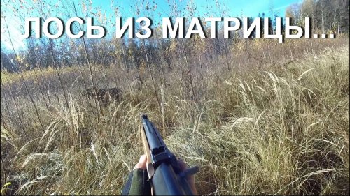 Охота НА ЛОСЯ.  Матрица существует?