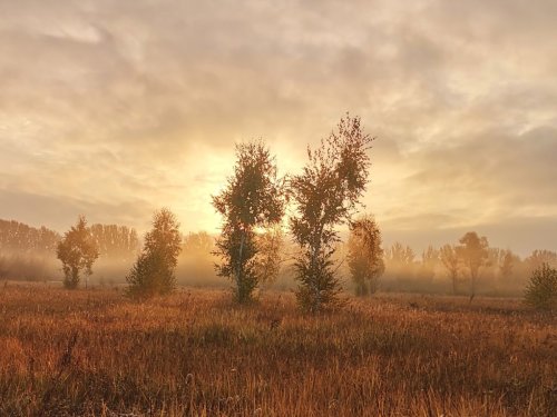 Восход