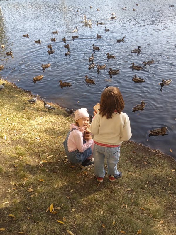 Городской водоем в октябре.