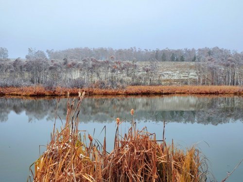 Осенний штиль