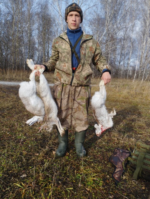 Белячки