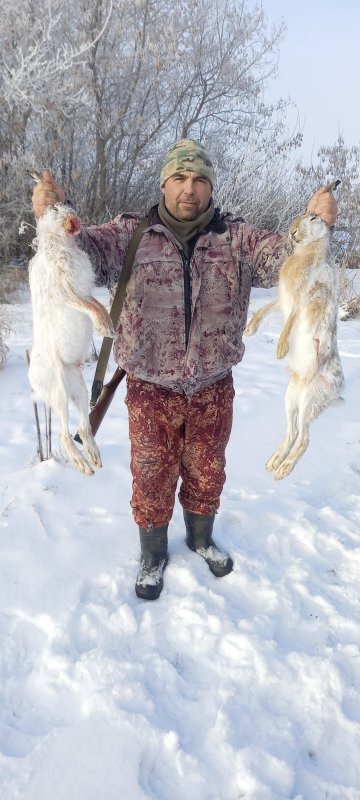 Русаки