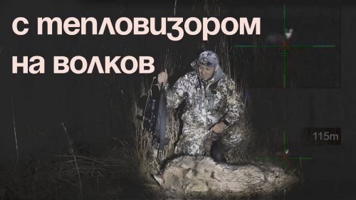 Охота на волков с тепловизором
