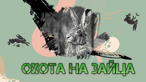 Охота на зайца 2024.  И ВНОВЬ ОНИ БЕГУТ К НАМ