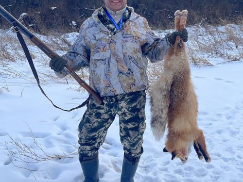 Рыжик