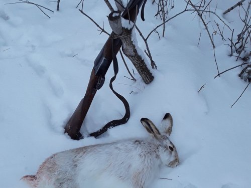 С наступающим Новым Годом!