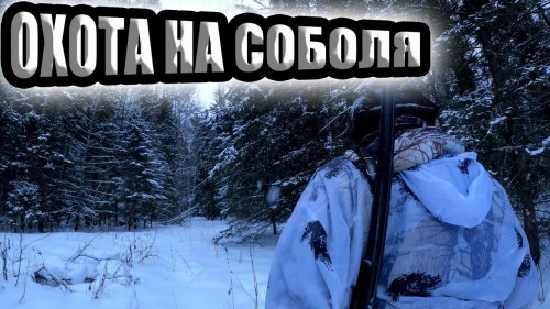 В лес на снегоходе тайга варяг 550 охота на соболя