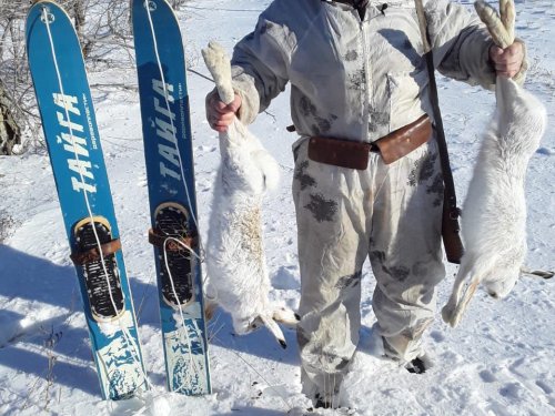 Удачная охота при удачной погоде...