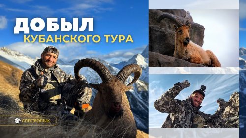 Трофейная Охота на Кубанского Тура |  горная охота  | СпектрОптик
