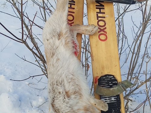 Восьмой.