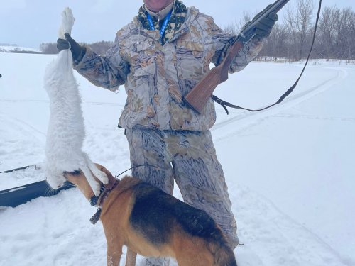 Белячок.