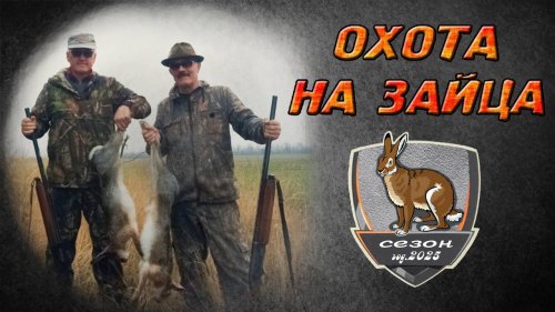 Самая быстрая охота сезона. Охота на зайца 2025