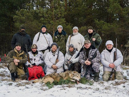 Загонная охота на волка