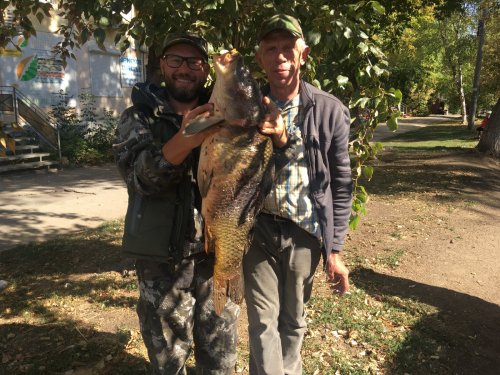 Багряноглазый карп