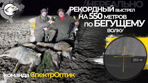 550 метров!!! Добыли 3 волка! НЕРЕАЛЬНЫЙ ВЫСТРЕЛ по бегущему волку! Охота на Волка. СпектрОптик