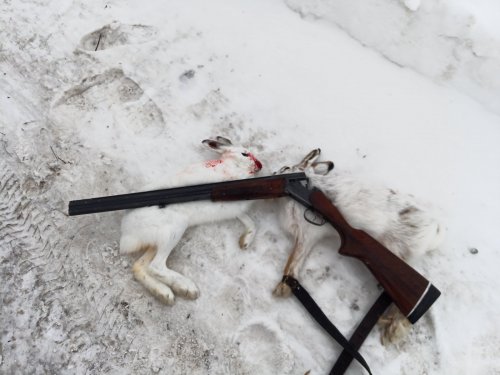Новогодний дуплет,на малой Родине.