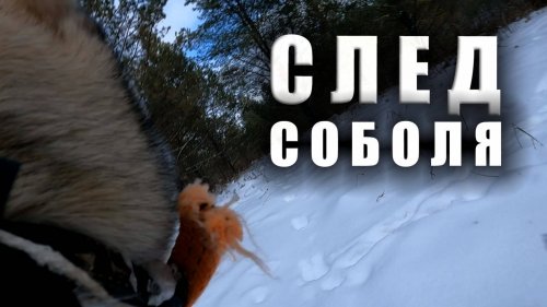 Засадил уаз . Приключения на охоте