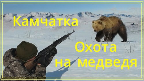 Охота на медведя. Камчатка. Bear hunting. Kamchatka.