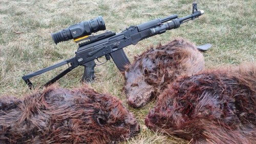 Сайга мк 223 и Arkon Arma HL50. Охота на бобра с лодки. Как охотится на бобра.