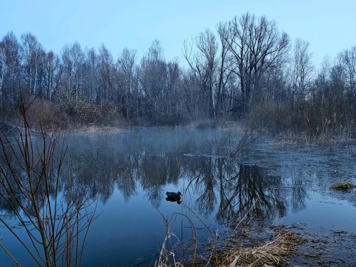 Весенние зарисовки