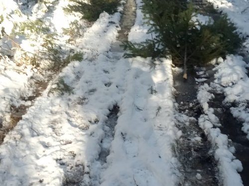 Эх дороги!