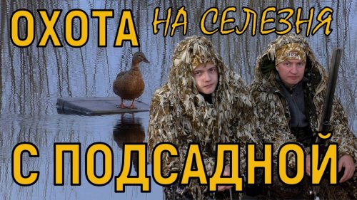 Вечёрка с сыном / Добыл селезня чёрной кряквы / Охота с подсадной