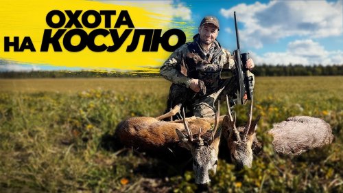 Сезон охоты открыт: добыл уникальный трофей.