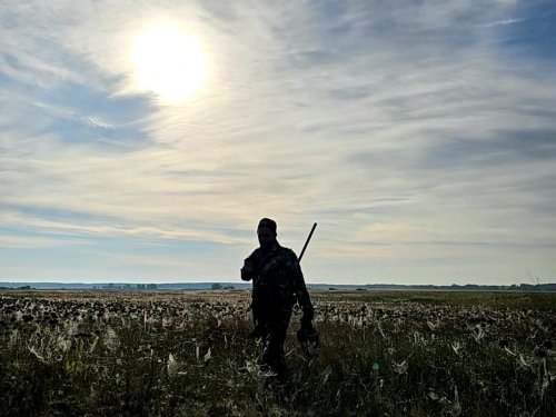 С полем 25'!