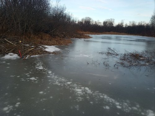 трасса