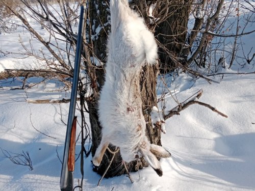 30.12.25