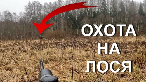Охота НА ЛОСЯ. Олень был, но...