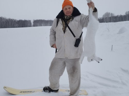 Добыт беляк
