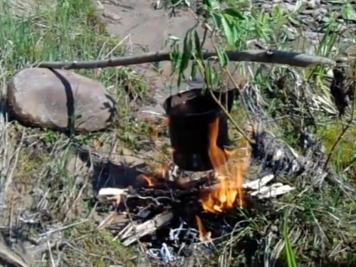 Его величество чай.