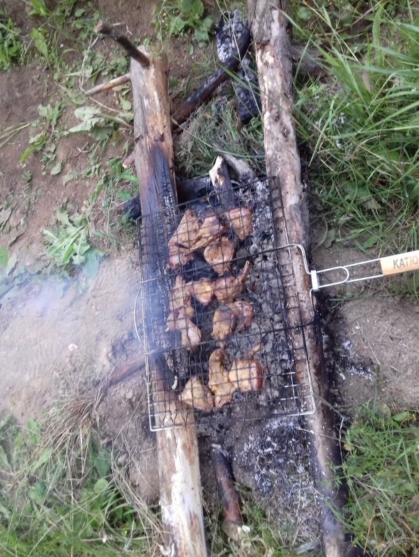 Шашлык из крякашей