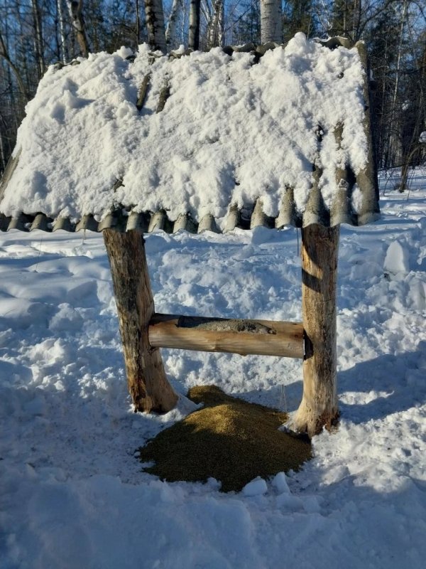 Кормим