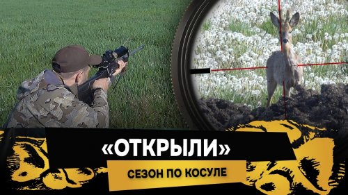 НАПАЛ КАБАН — Я ЧУДОМ ВЫЖИЛ… (и забрал все трофеи). Открыли сезон охоты на косулю. Большой фильм.