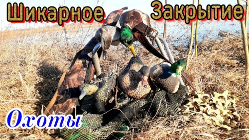 Отличные трофеи | Закрытие весенней охоты с чучелами *2026*