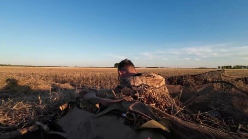Разведка по гусю, перешла в охоту