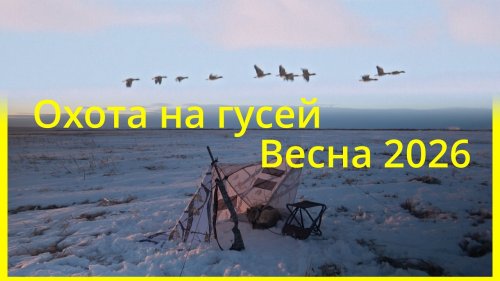 Охота на гусей. Весна 2026. Север Камчатки. Goosehunting in the snow!