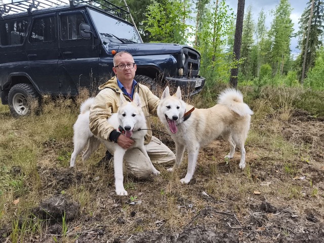 пушистая банда