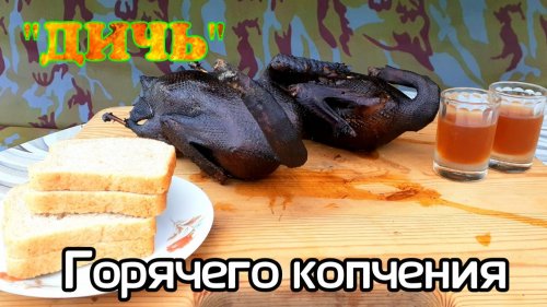 Дикие утки Горячего копчения | Мариновал в рассоле