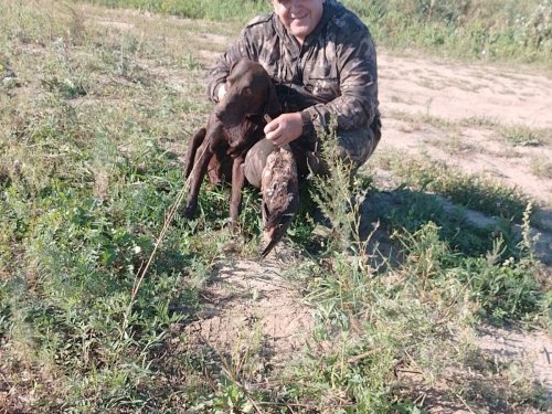 Старичок ещё в деле!