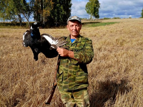 Сегодня матёрый.