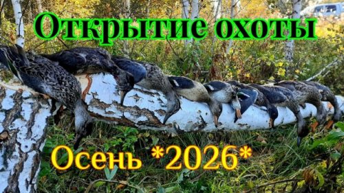 Открытие охоты | *Осень 2026*