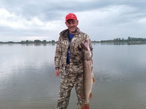 И снова на песках