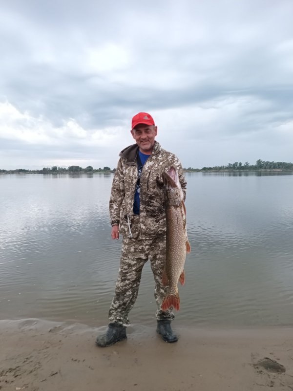 И снова на песках