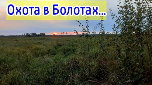 Трудовая вечёрка, в Сибирских болотах ...
